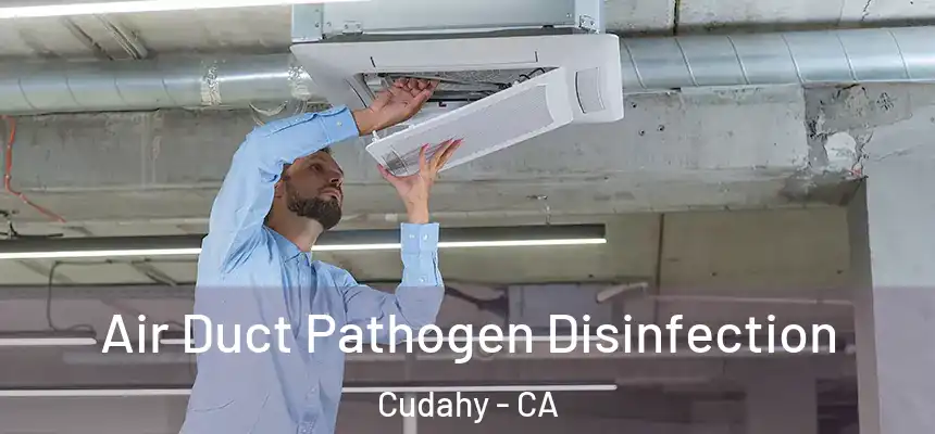  Air Duct Pathogen Disinfection Cudahy - CA