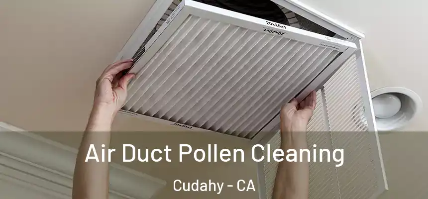 Air Duct Pollen Cleaning Cudahy - CA