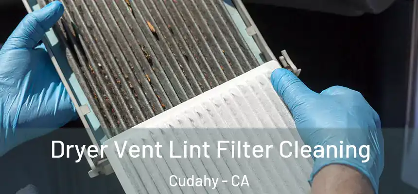  Dryer Vent Lint Filter Cleaning Cudahy - CA
