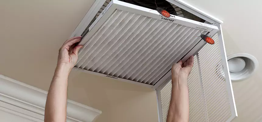 Preventive Cockroach-Proofing for Ducts in Cudahy