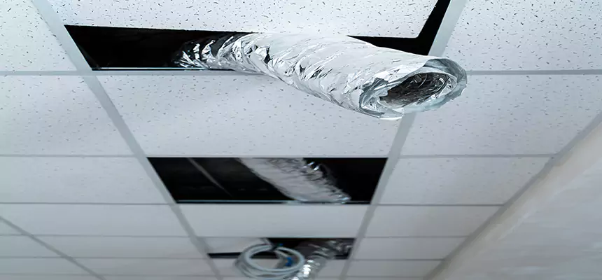 Our Air Duct Pet Hair Removal Services in Cudahy, CA