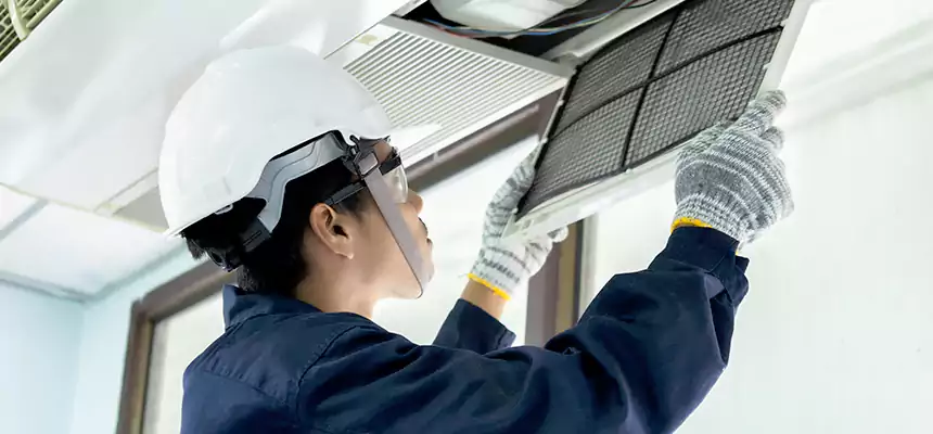 Our Mold & Mildew Removal from Air Ducts Services in Cudahy, CA