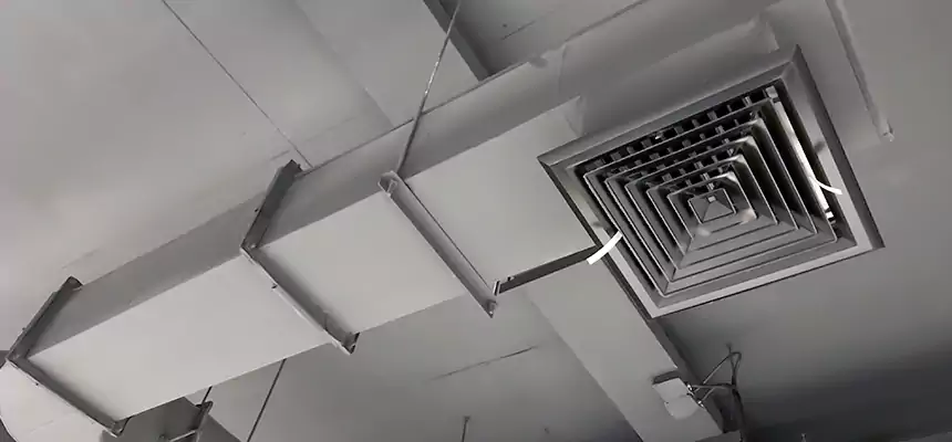 Our Pest Removal From Ducts Services in Cudahy, CA