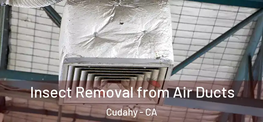  Insect Removal from Air Ducts Cudahy - CA