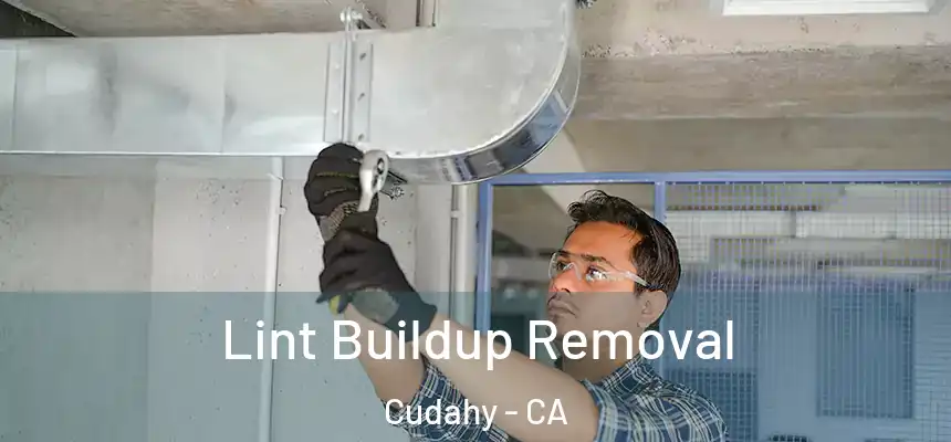 Lint Buildup Removal Cudahy - CA