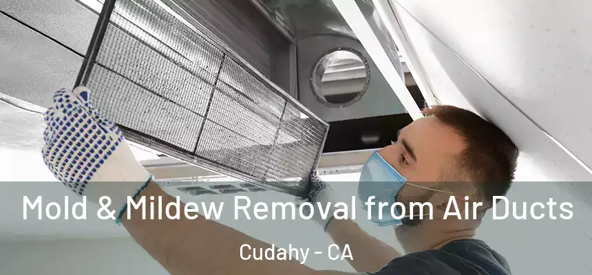  Mold & Mildew Removal from Air Ducts Cudahy - CA