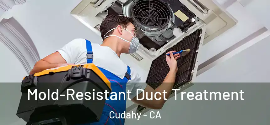 Mold-Resistant Duct Treatment Cudahy - CA