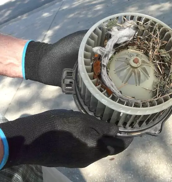 About Air Duct Rat Removal in Cudahy, CA