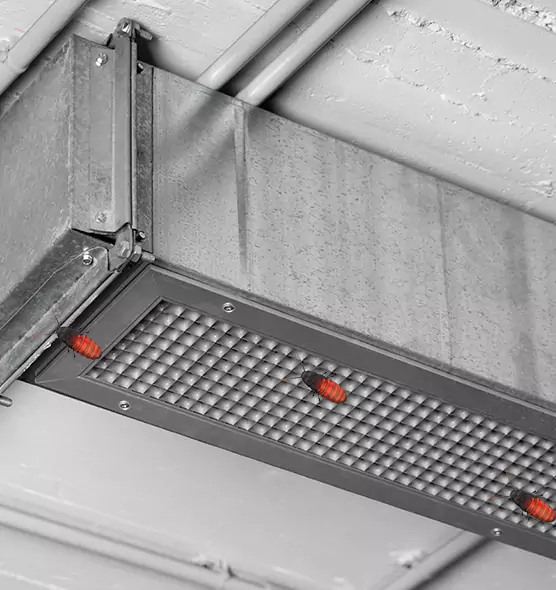 Affordable Insect Removal from Air Ducts in Cudahy, CA