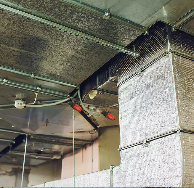 Why Homeowners & Businesses Trust Us in Cudahy, CA?