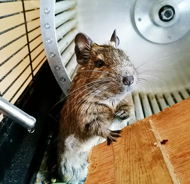 Why Homeowners & Businesses Trust Us Cudahy, CA?