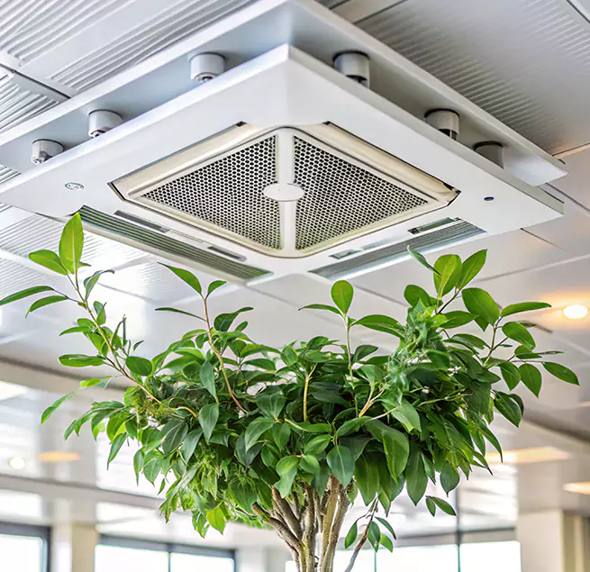 Why Homeowners & Businesses Trust Us in Cudahy, CA