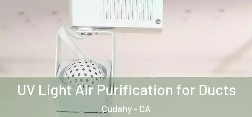  UV Light Air Purification for Ducts Cudahy - CA